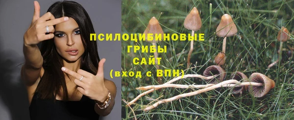соль курить ск Вяземский