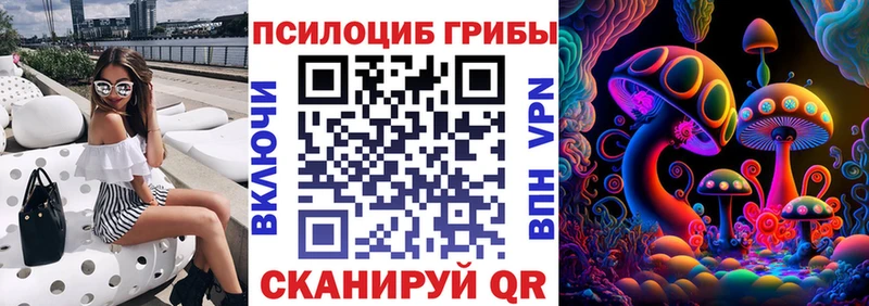 Купить  Могоча  Галлюциногенные грибы GOLDEN TEACHER 